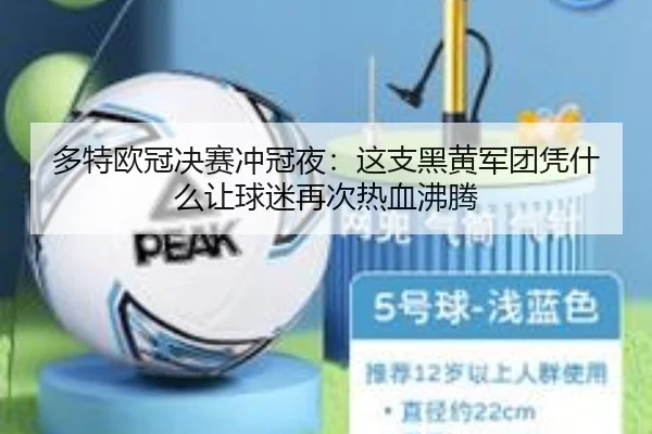多特欧冠决赛冲冠夜：这支黑黄军团凭什么让球迷再次热血沸腾